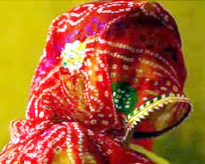 Haridwar Minor Marriage Case : 14 साल की किशोरी की जबरन शादी, प्रेग्नेंसी से खुला राज Haridwar Minor Marriage Case : 14 साल की किशोरी की जबरन शादी, प्रेग्नेंसी से खुला राज