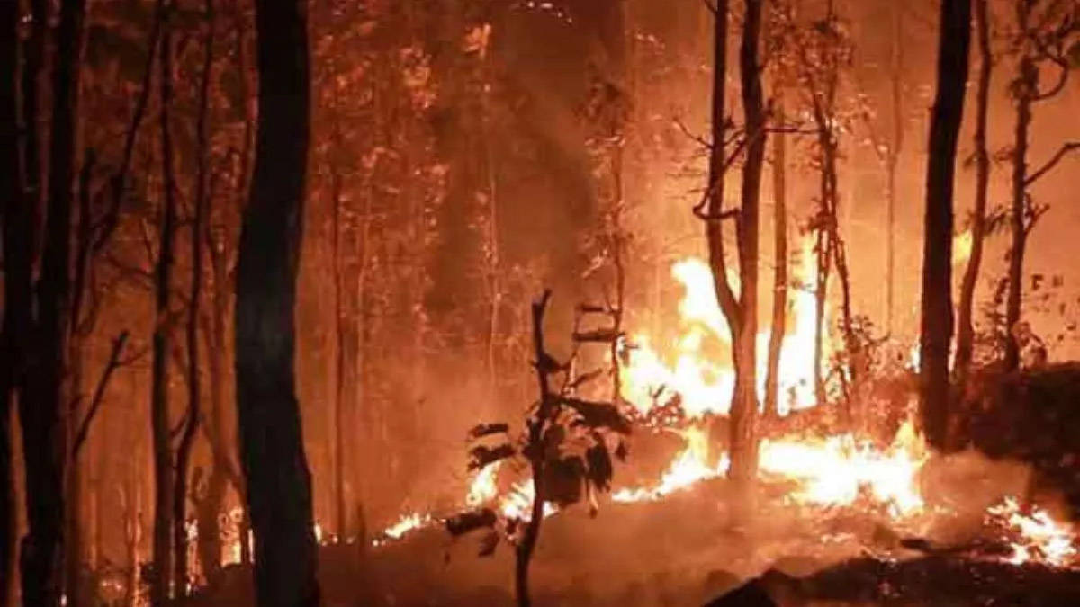 Uttarakhand Jungle Fire, गांवों और गंगोत्री हाईवे तक पहुंचीं लपटें Uttarakhand Jungle Fire, गांवों और गंगोत्री हाईवे तक पहुंचीं लपटें
