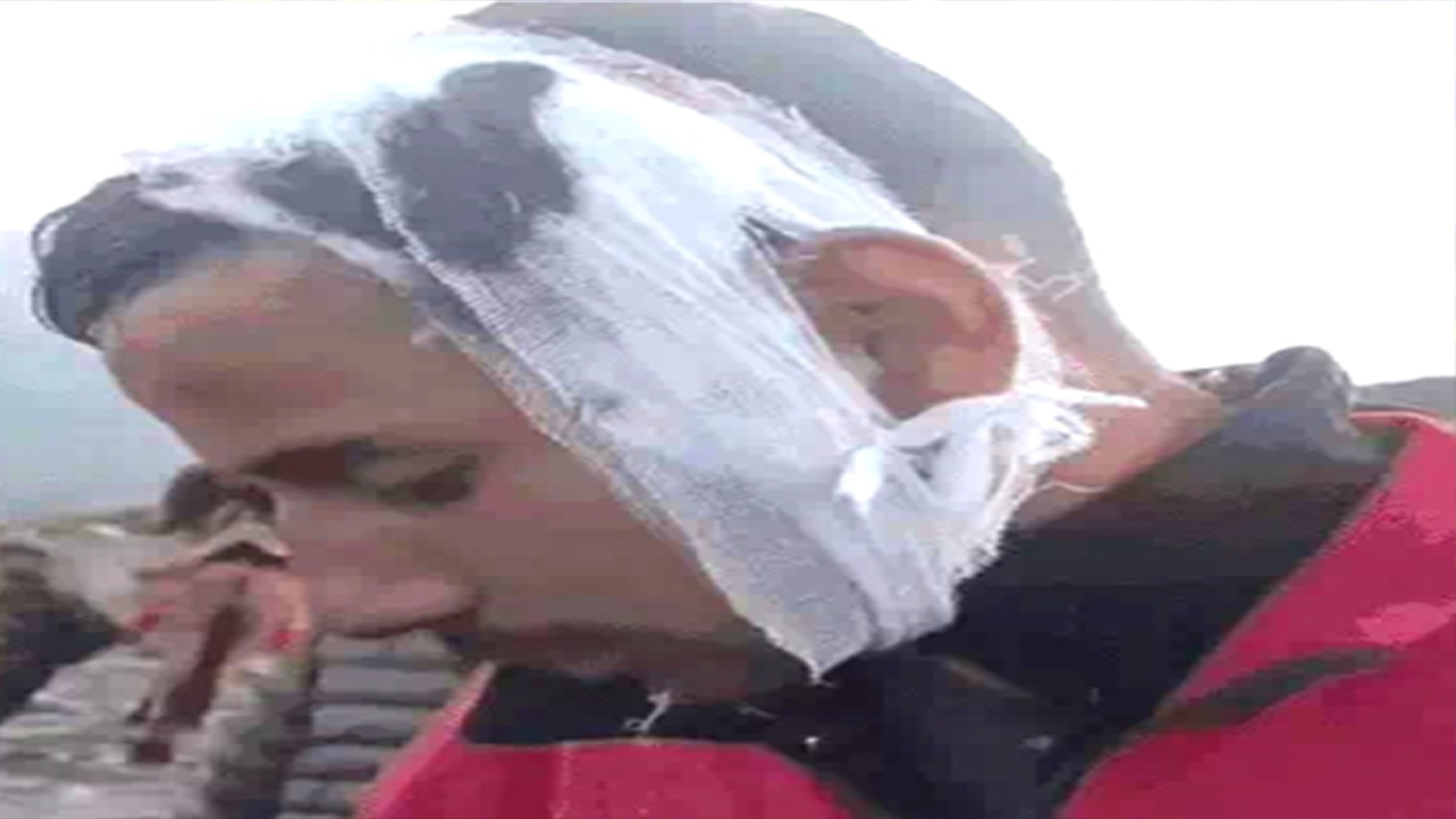 खच्चर चालक से मारपीट के आरोपों के बीच युवक का दावा- मैं तो बीच-बचाव करने गया था खच्चर चालक से मारपीट के आरोपों के बीच युवक का दावा- मैं तो बीच-बचाव करने गया था