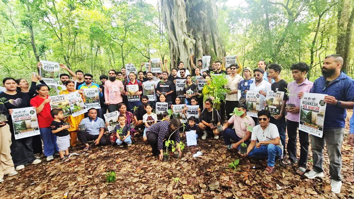 Dehradun-ऋषिकेश सड़क परियोजना में पेड़ों की कटाई पर लगी रोक Dehradun-ऋषिकेश सड़क परियोजना में पेड़ों की कटाई पर लगी रोक