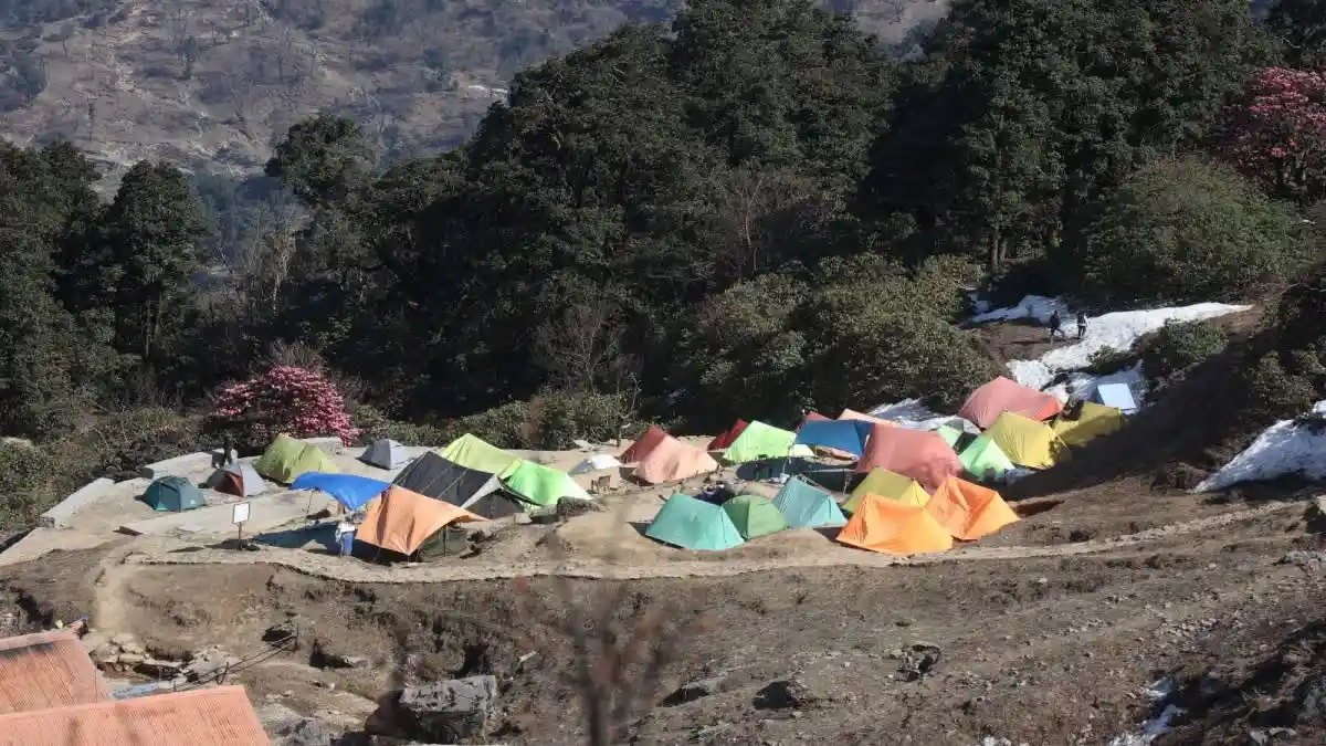 Pithoragarh के खलिया टॉप में अनुमति से ज्यादा मिले टेंट, 12 की जगह लगाए गए थे 30; संचालकों के चालान Pithoragarh के खलिया टॉप में अनुमति से ज्यादा मिले टेंट, 12 की जगह लगाए गए थे 30; संचालकों के चालान