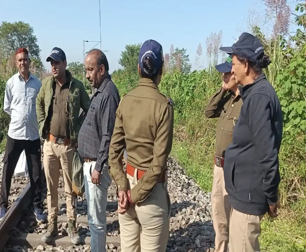 Rudrapur में बाघ एक्सप्रेस की चपेट में आने से नर हाथी की मौत, 2 घंटे तक रुकी रही ट्रेन Rudrapur में बाघ एक्सप्रेस की चपेट में आने से नर हाथी की मौत, 2 घंटे तक रुकी रही ट्रेन